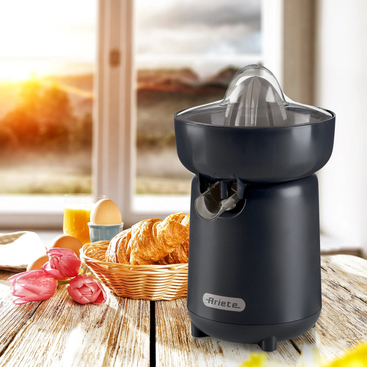 Dark Grey Breakfast Juicer Z809128