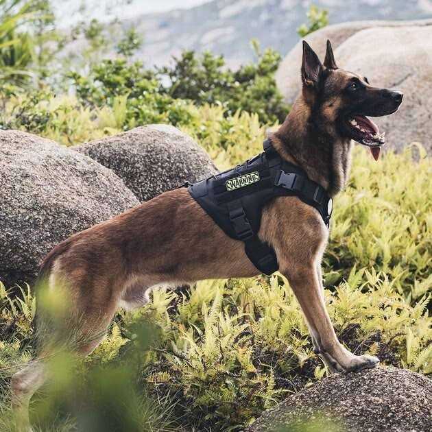 Tactical Dog Harness O10610
