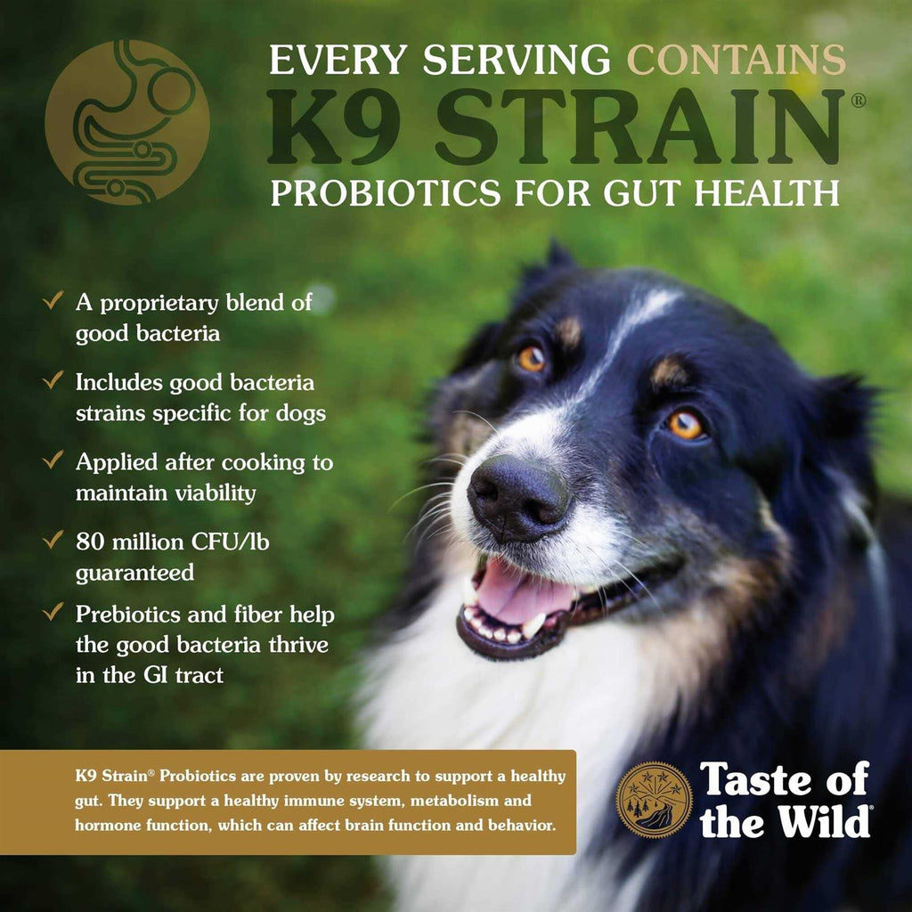 Dog Food F79878