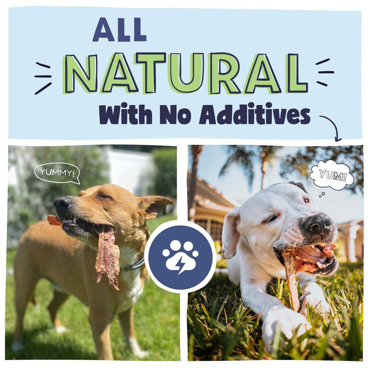 Natural Beef Jerky Dog Chew Treats G3883