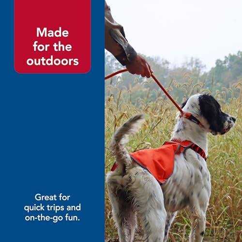 Braided Rope Dog Slip Leash F826079