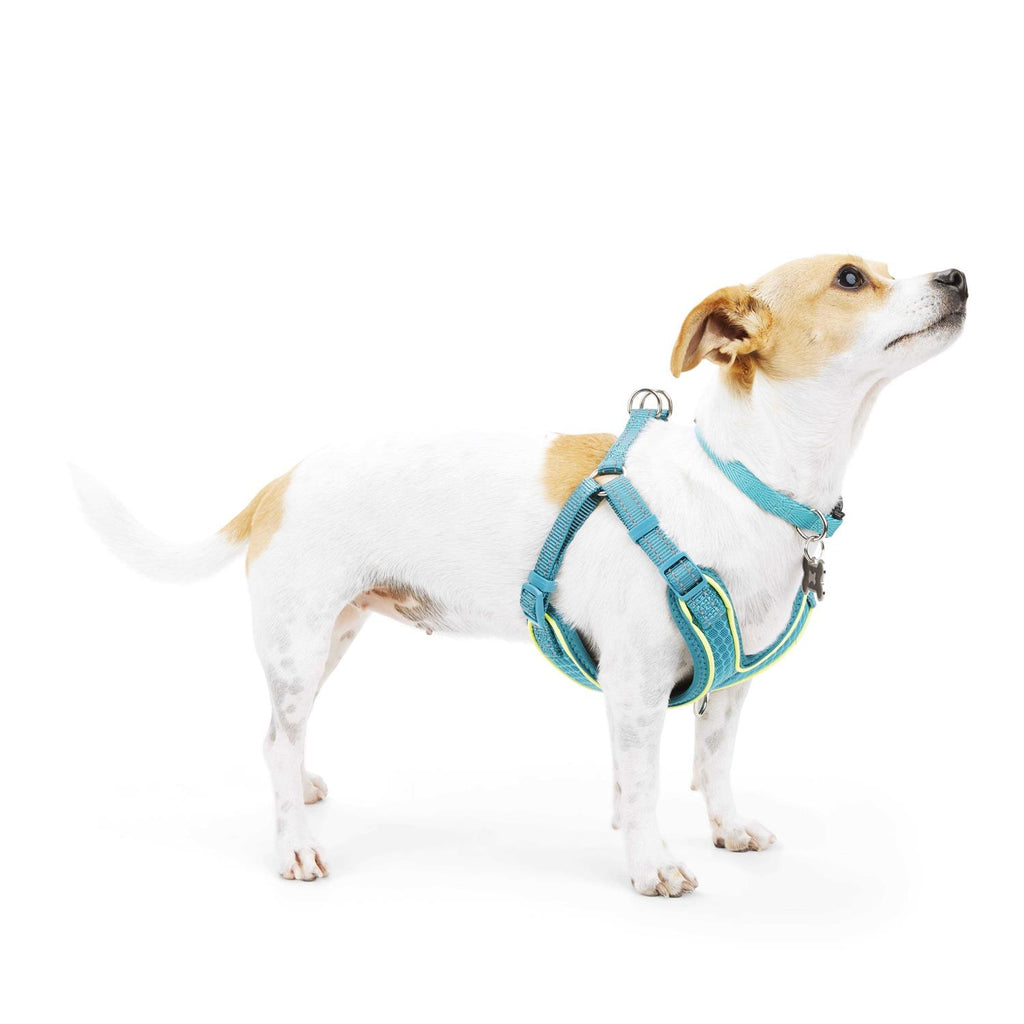 Reflective Dog Harness I3608