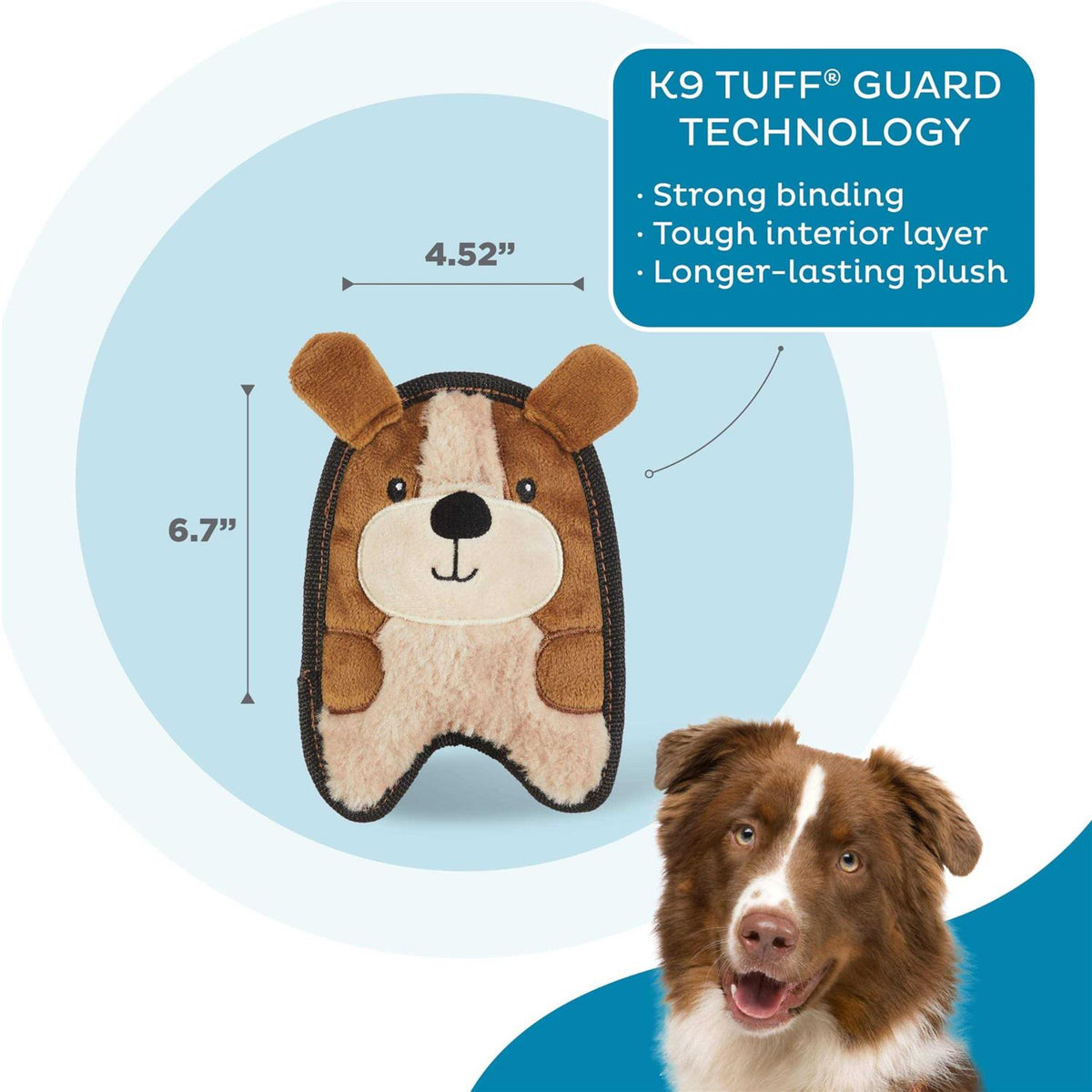 Dog Toy N602488