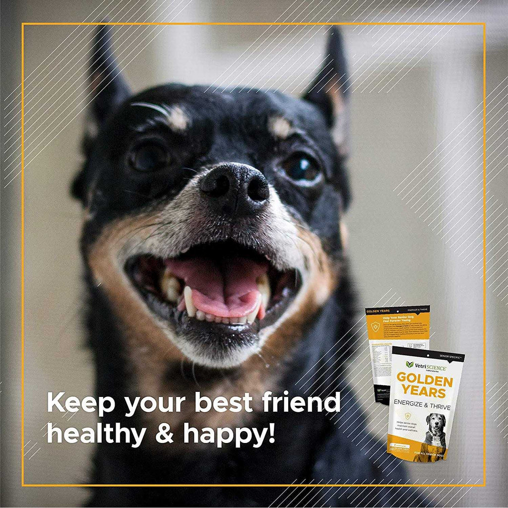 Senior Dogs Multivitamin D3634
