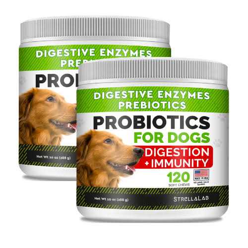 Probiotics for Dogs I550