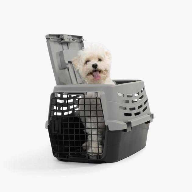 Small Pet Travel Carrier with Front and Top Access U924837