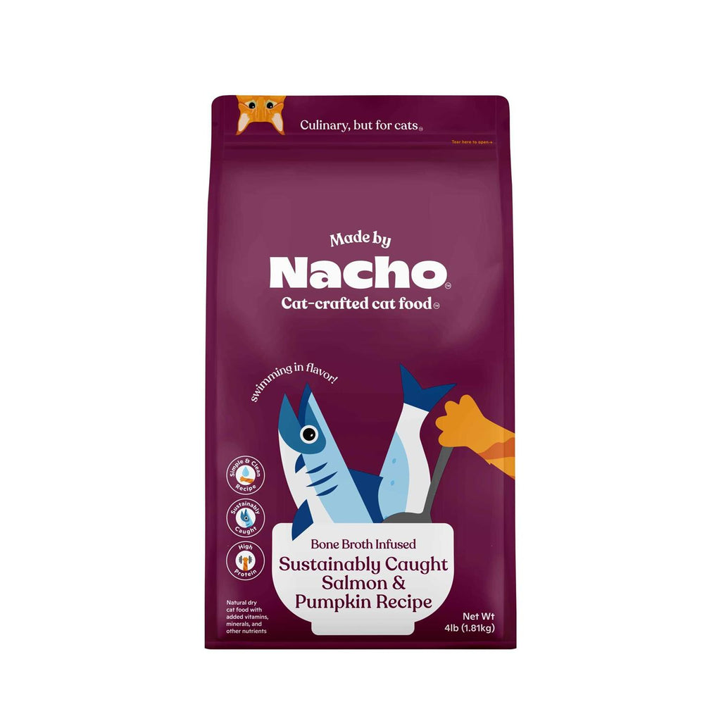 Salmon & Pumpkin Recipe Dry Cat Food H420