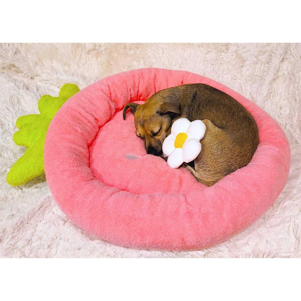 Soft Plush Small Dog Cat Bed G114878