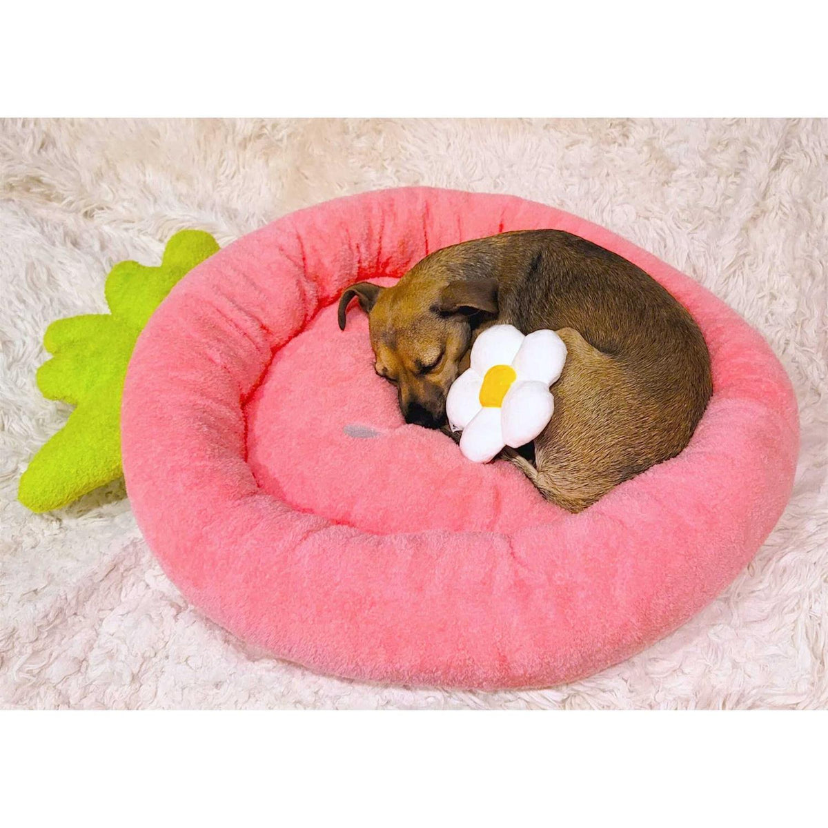 Soft Plush Small Dog Cat Bed G114878