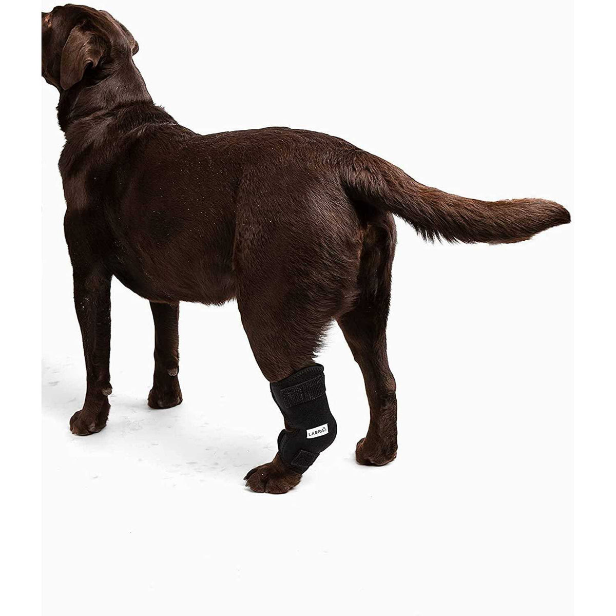 Canine Heat Cold Therapy Dog Leg Wrap K18587