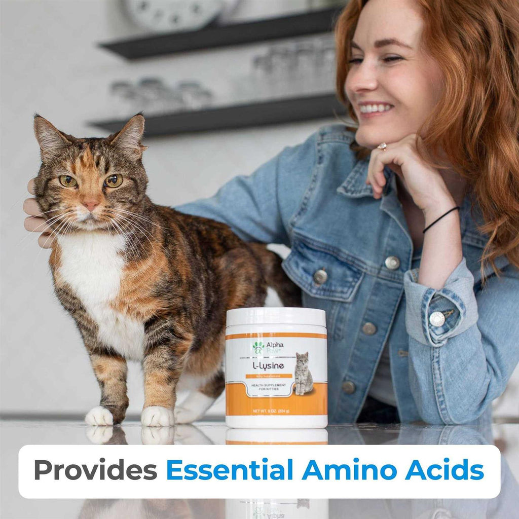 Cat Lysine Supplement R488684