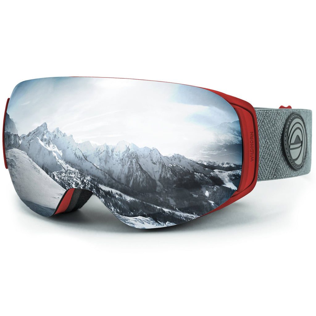 Snowboard and Ski Goggles U42245
