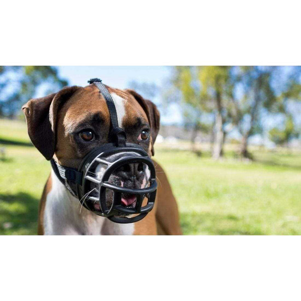 Dog Muzzle Q9117