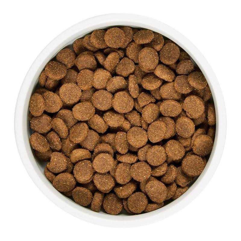 Grain Free Lamb and Lentil Dry Dog Food L245