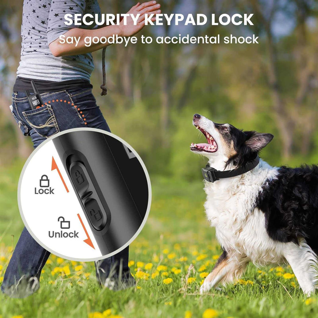 Dog Training Collar with Beep Vibration R552365