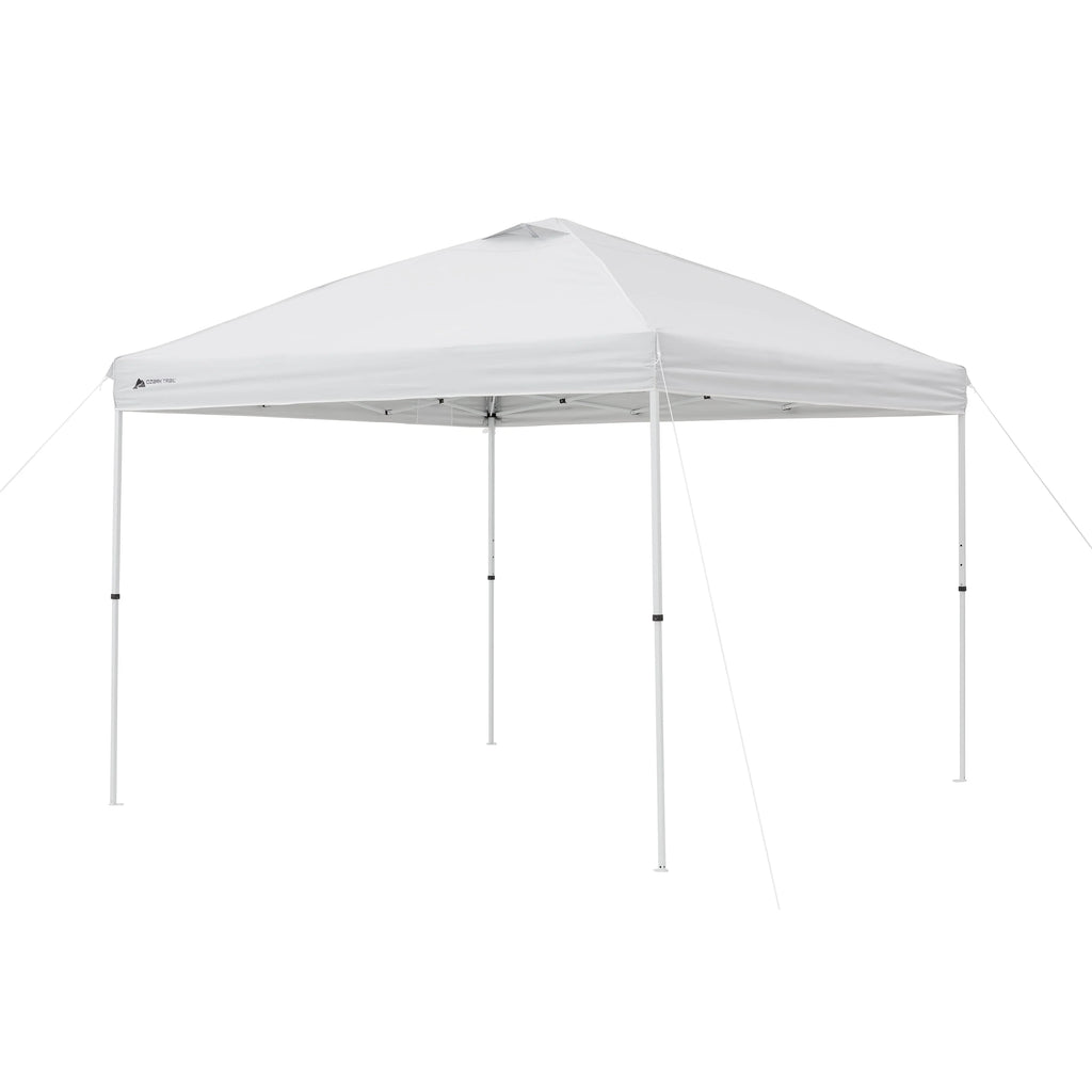 10X10 Instant Canopy Top Replacement F2363