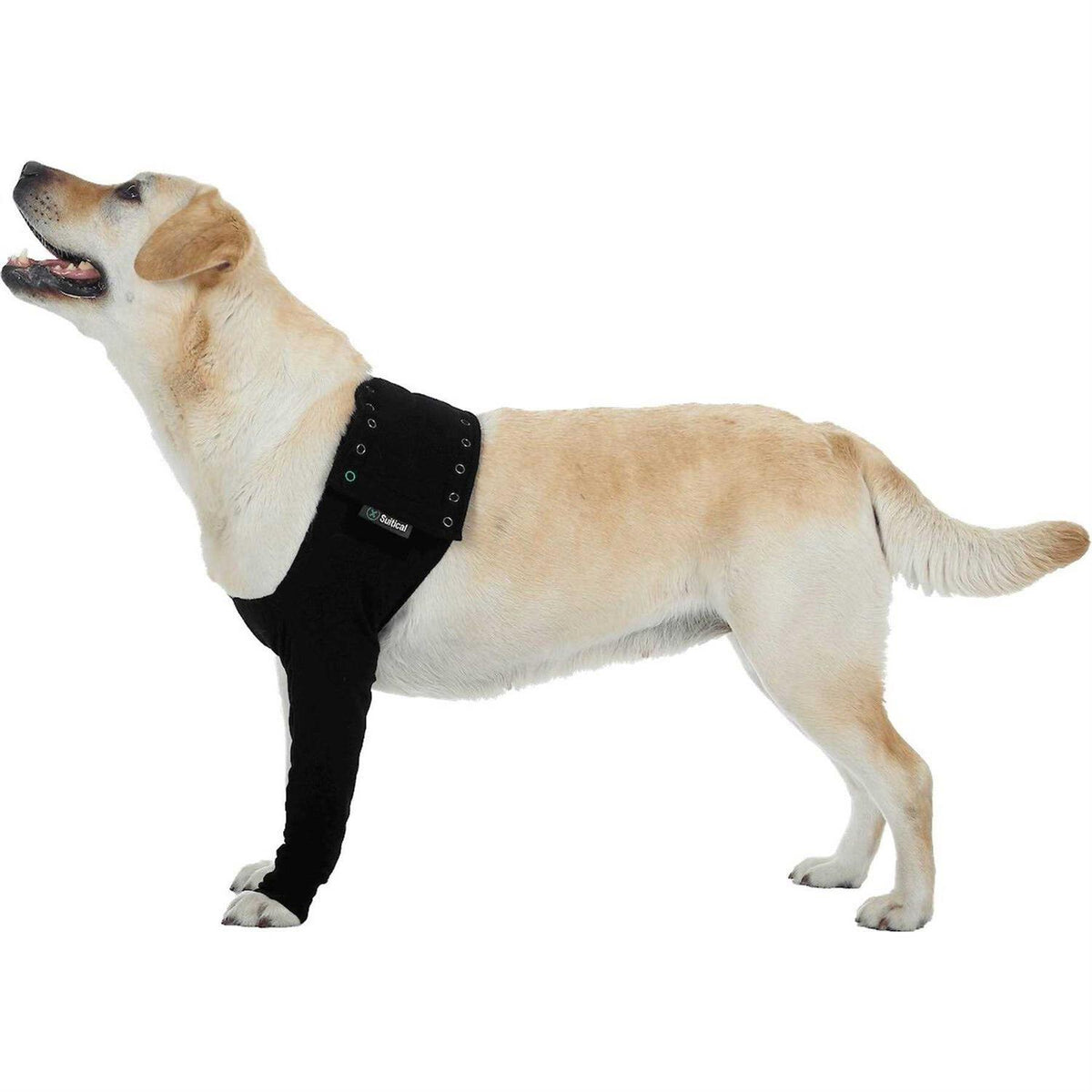 Dog Recovery Sleeve I257550
