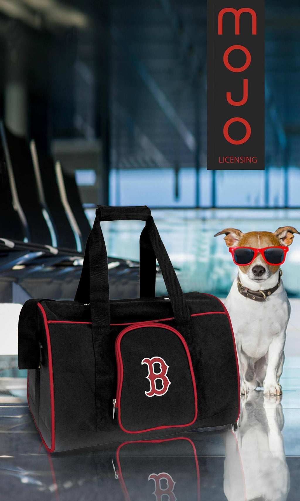 NFL Pet Carrier N36604