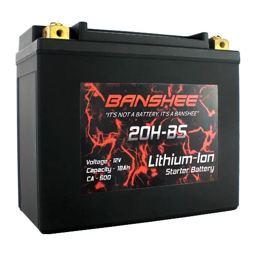 Lithium Ion Sealed Battery High CCA R66662