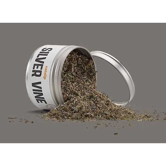 Silver Vine Catnip Q781991