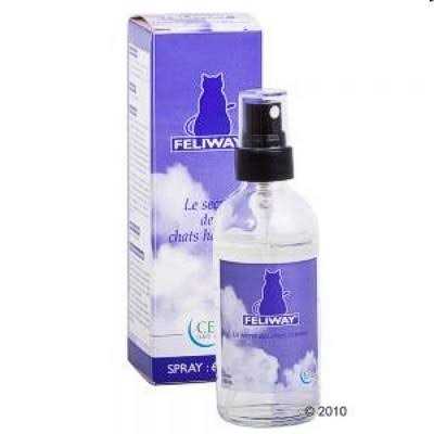 Spray 60ml Y5430