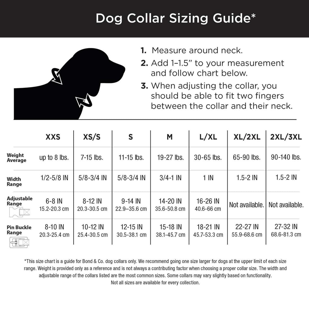Neoprene Padded Dog Collar I77612