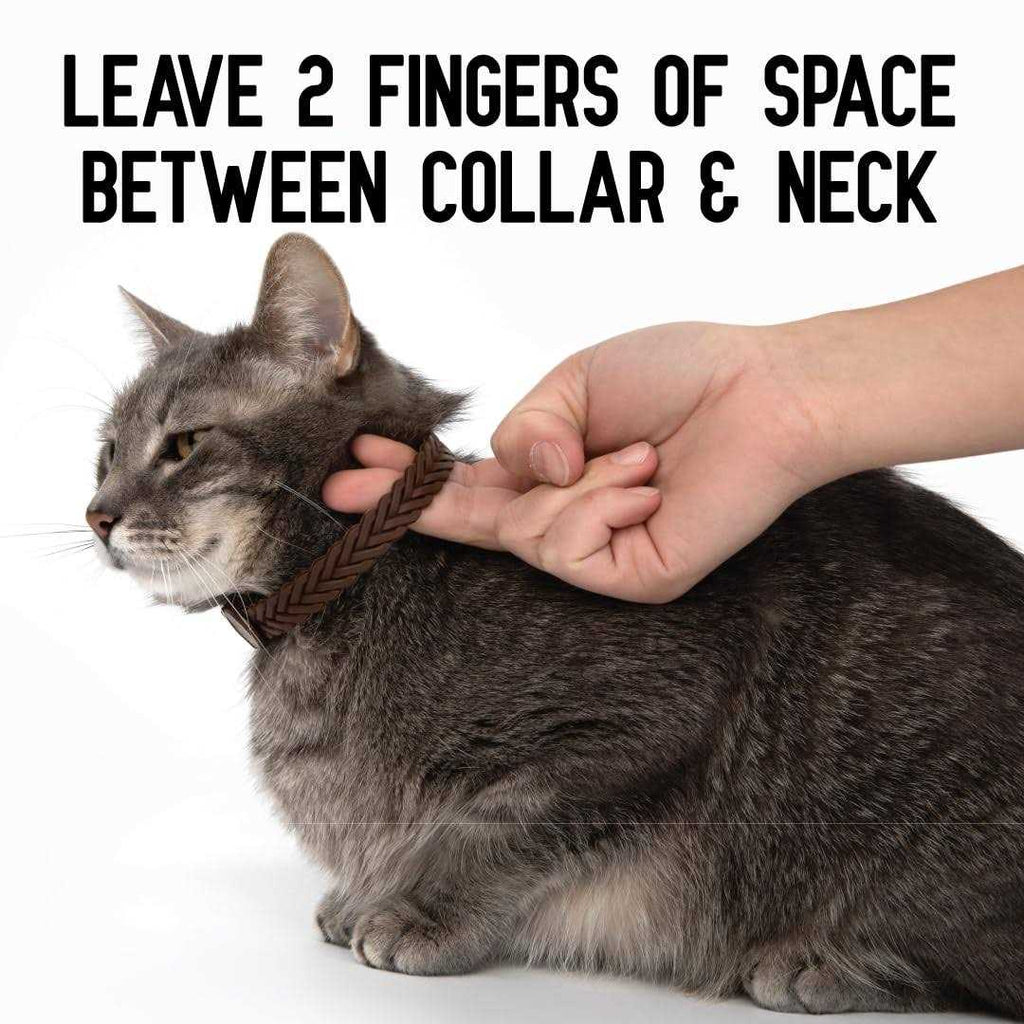 Hip + Joint Mobility Collar for Cats X718666