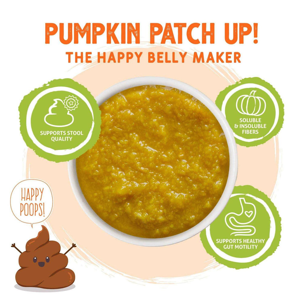 Pumpkin Patch Up V8201