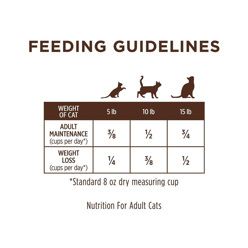 Grain Free Salmon Dry Cat Food O27698