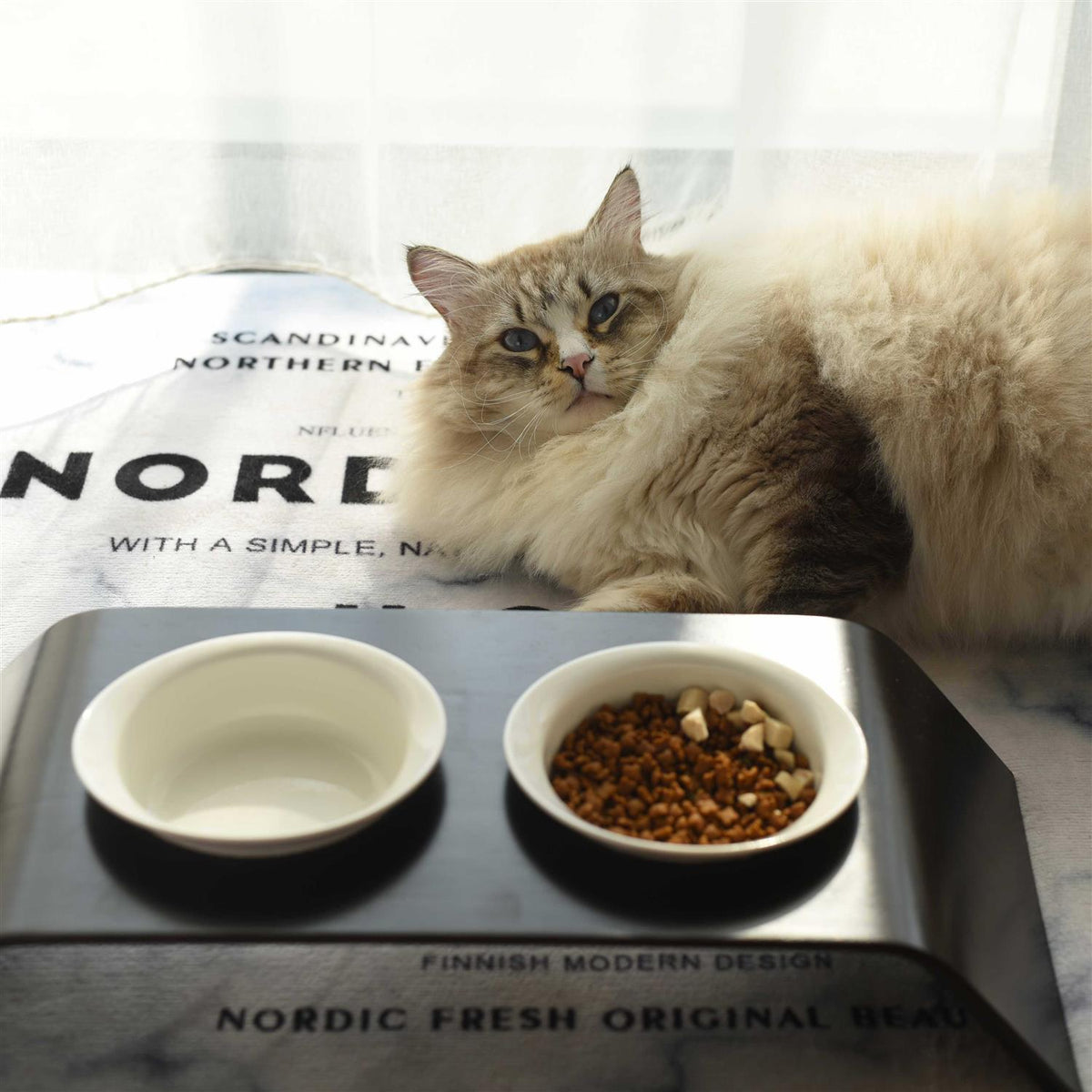 Pet Food Table D573549