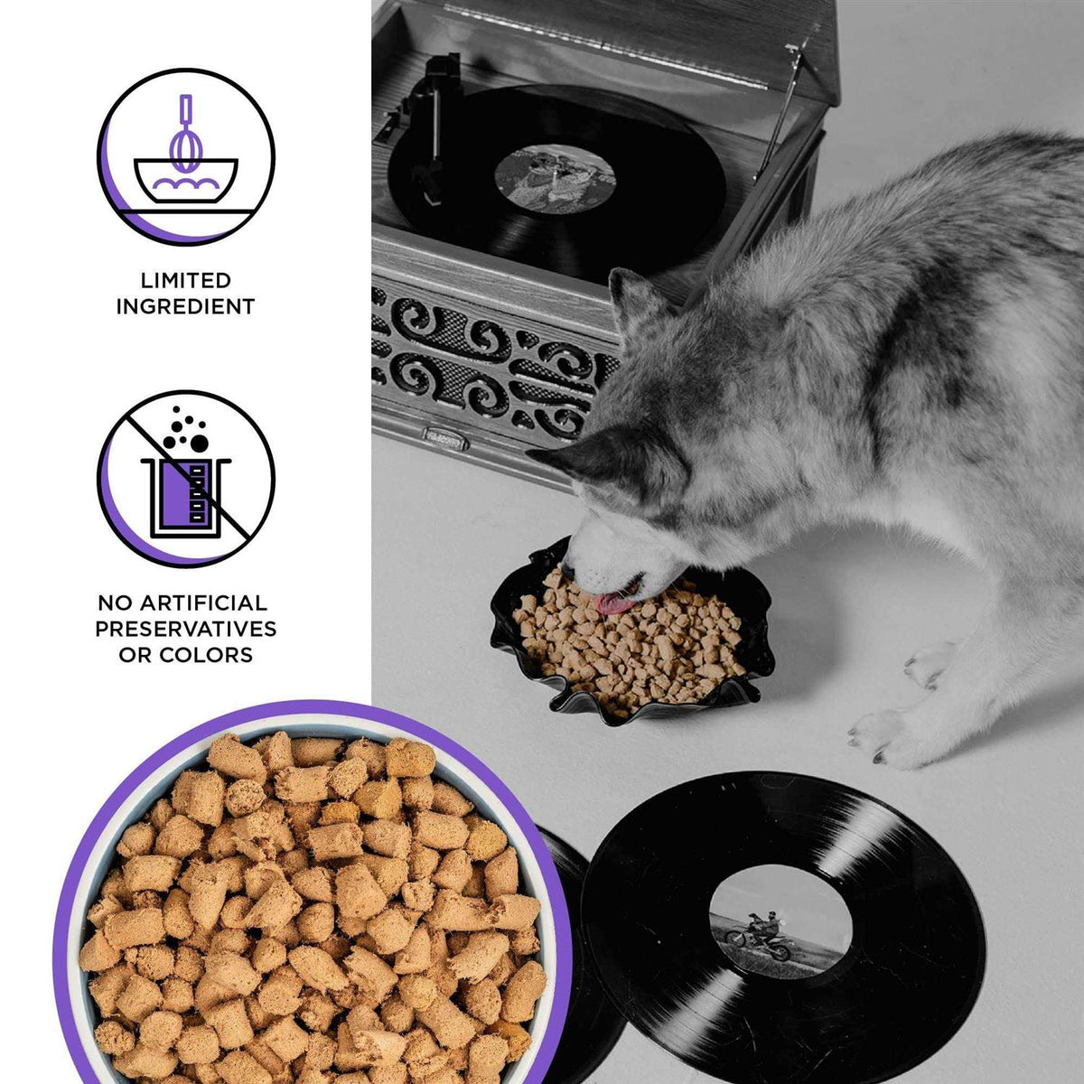 Freeze-Dried Dog Food T331