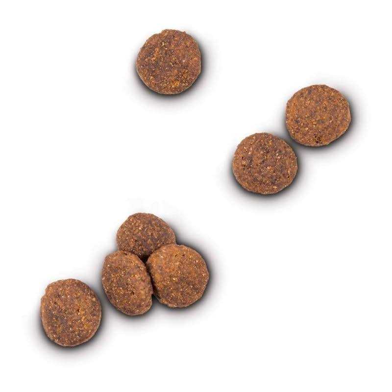 Grain Free Lamb and Lentil Dry Dog Food L245