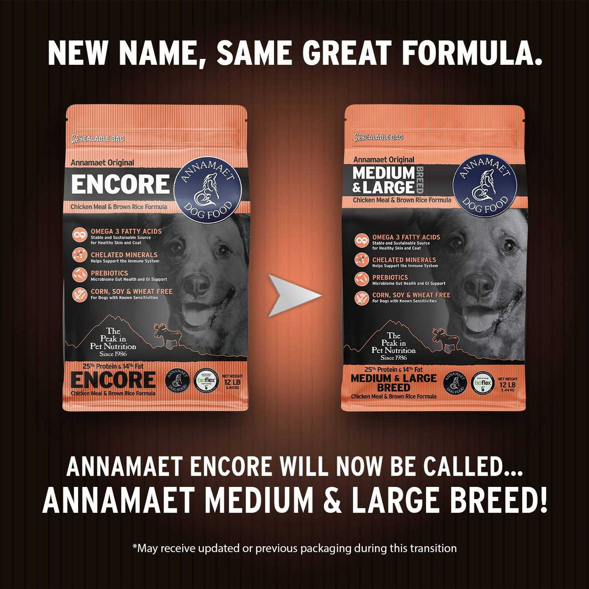 Medium & Large Breed Dry Dog Food K958630
