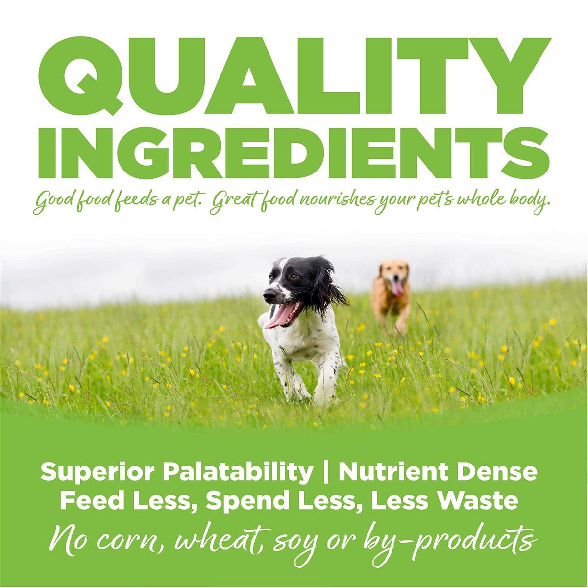 Chicken Weight Management Dry Dog Food Y728036