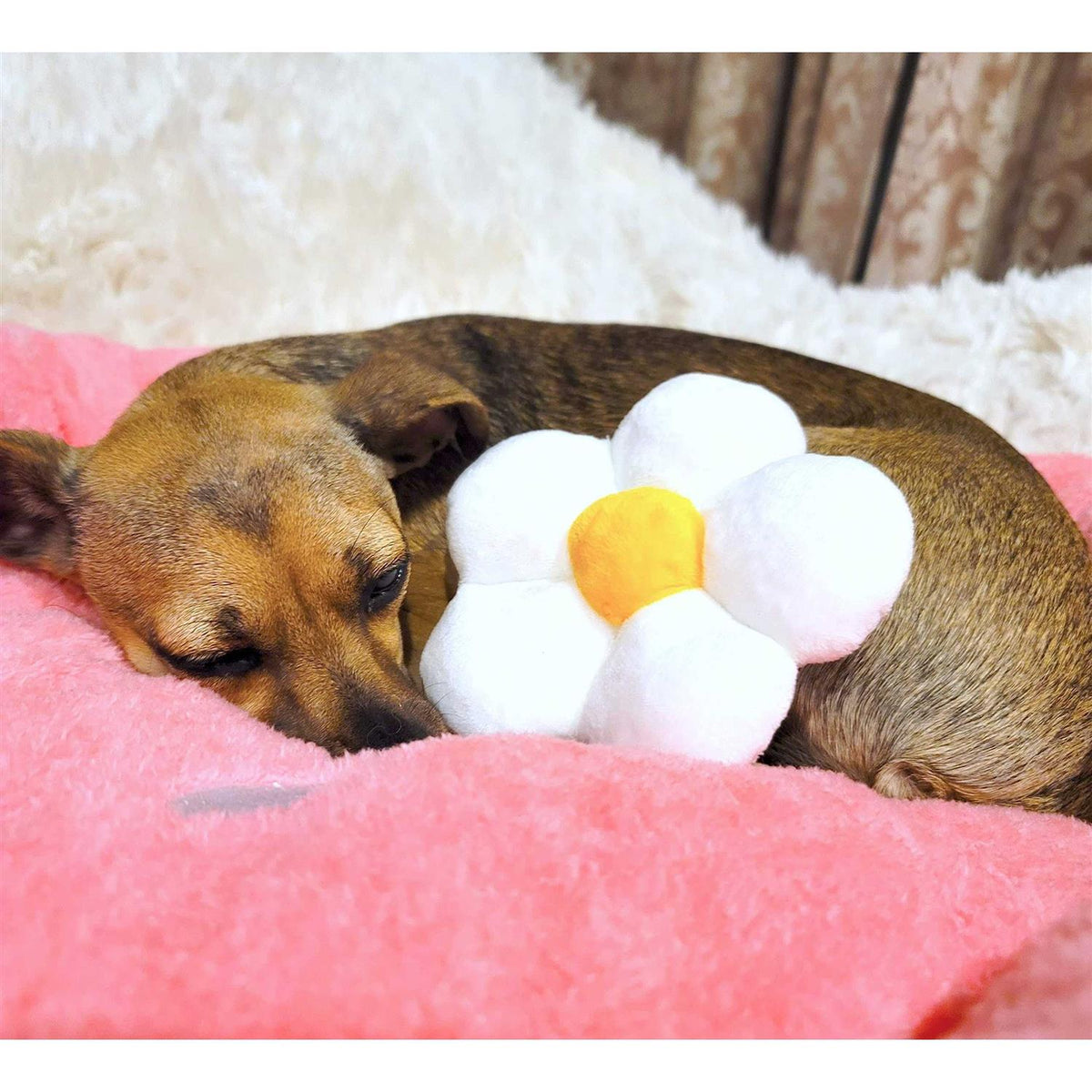 Soft Plush Small Dog Cat Bed G114878