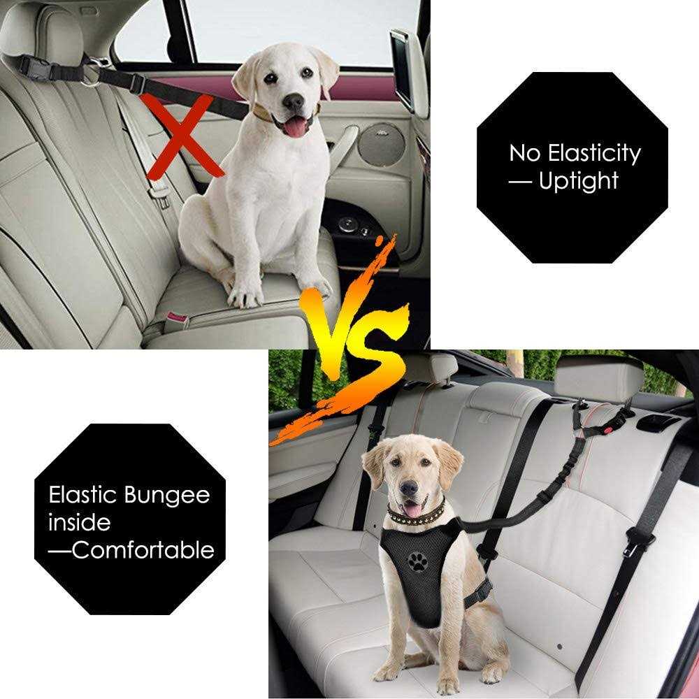 2 Pack Reflective Adjustable Dog Seat Belt F25490