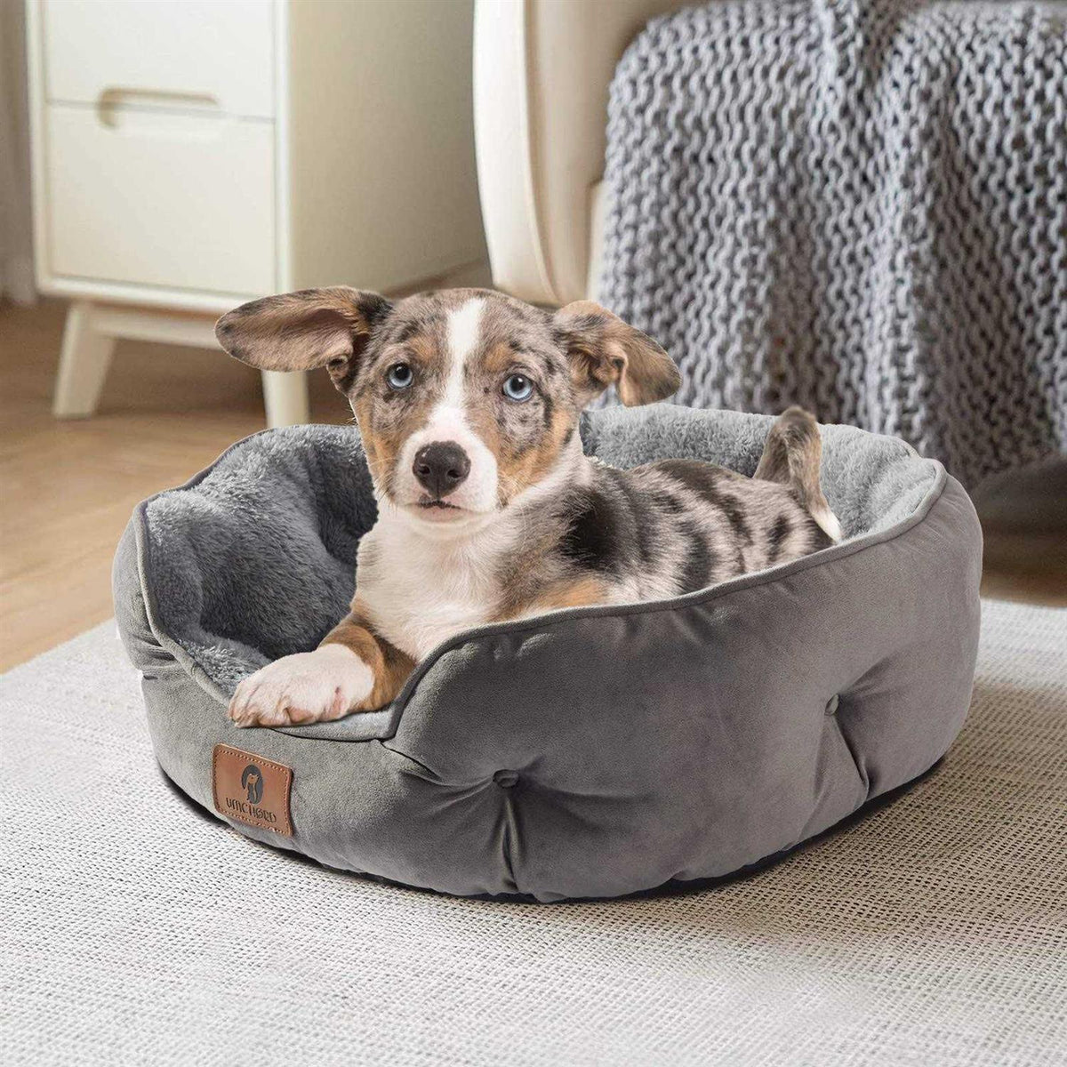 Small Dog Bed Cat Bed Pet Bed N199287
