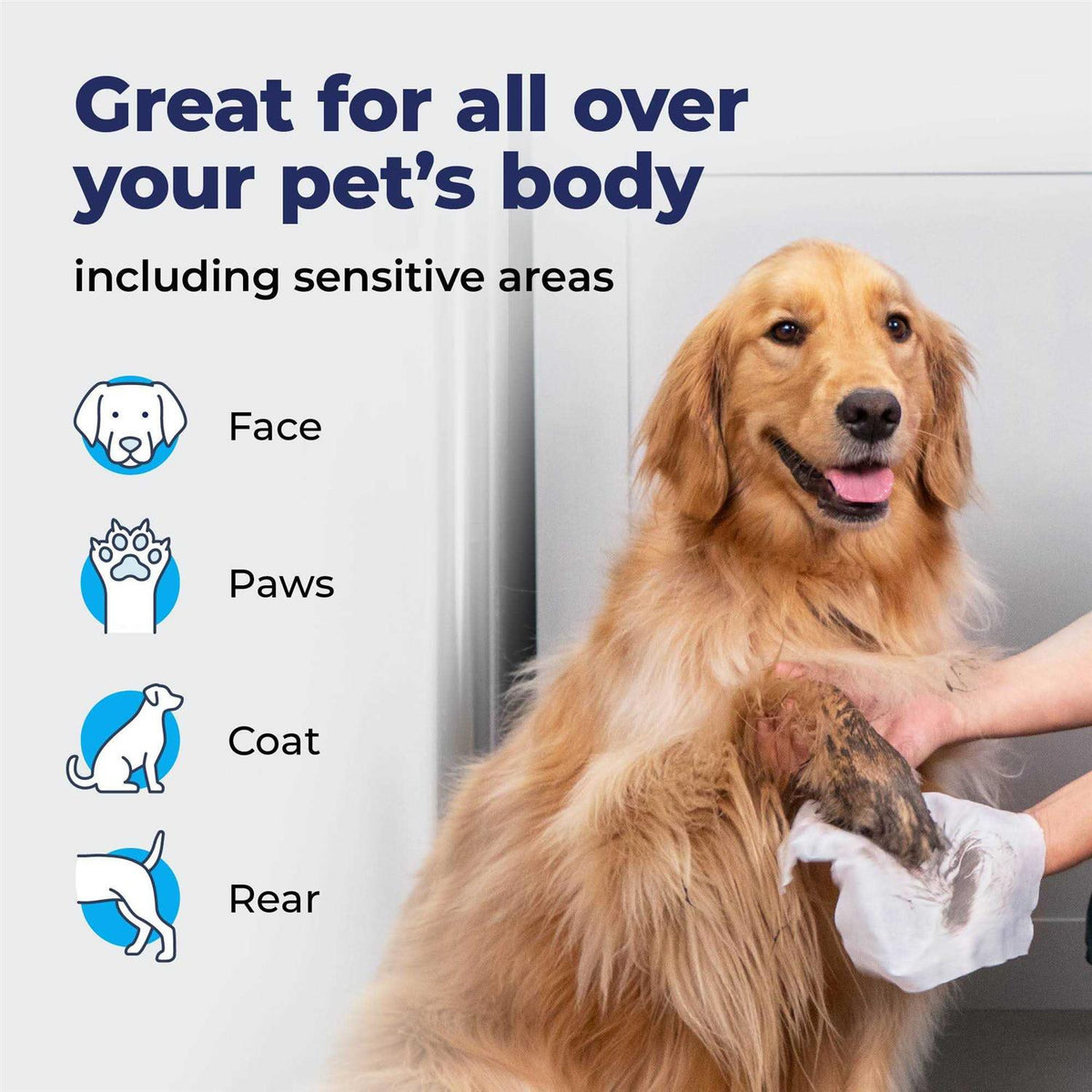 Pet Wipes Q6726