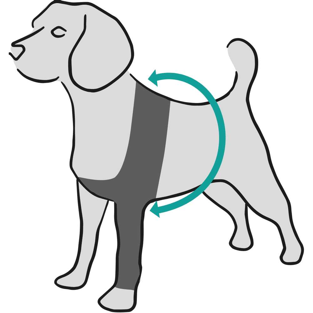 Dog Recovery Sleeve I257550