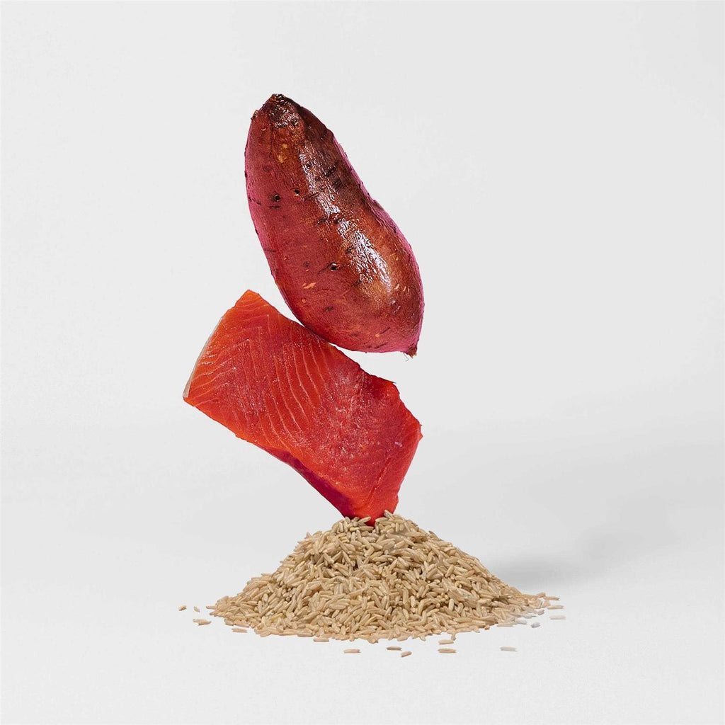 Salmon Brown Rice & Sweet Potato Dry Dog Food F2670