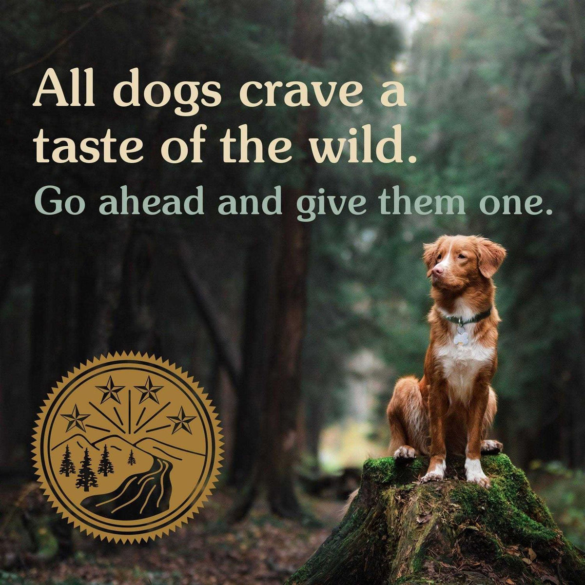 Dog Food F79878