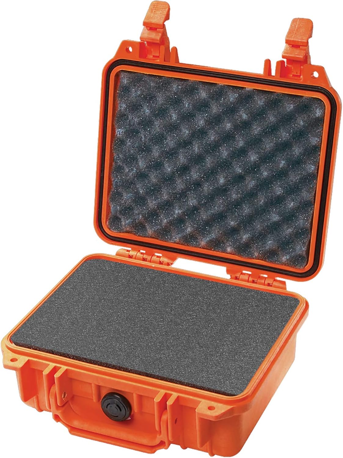 1200 Case With Foam (Black) N958785