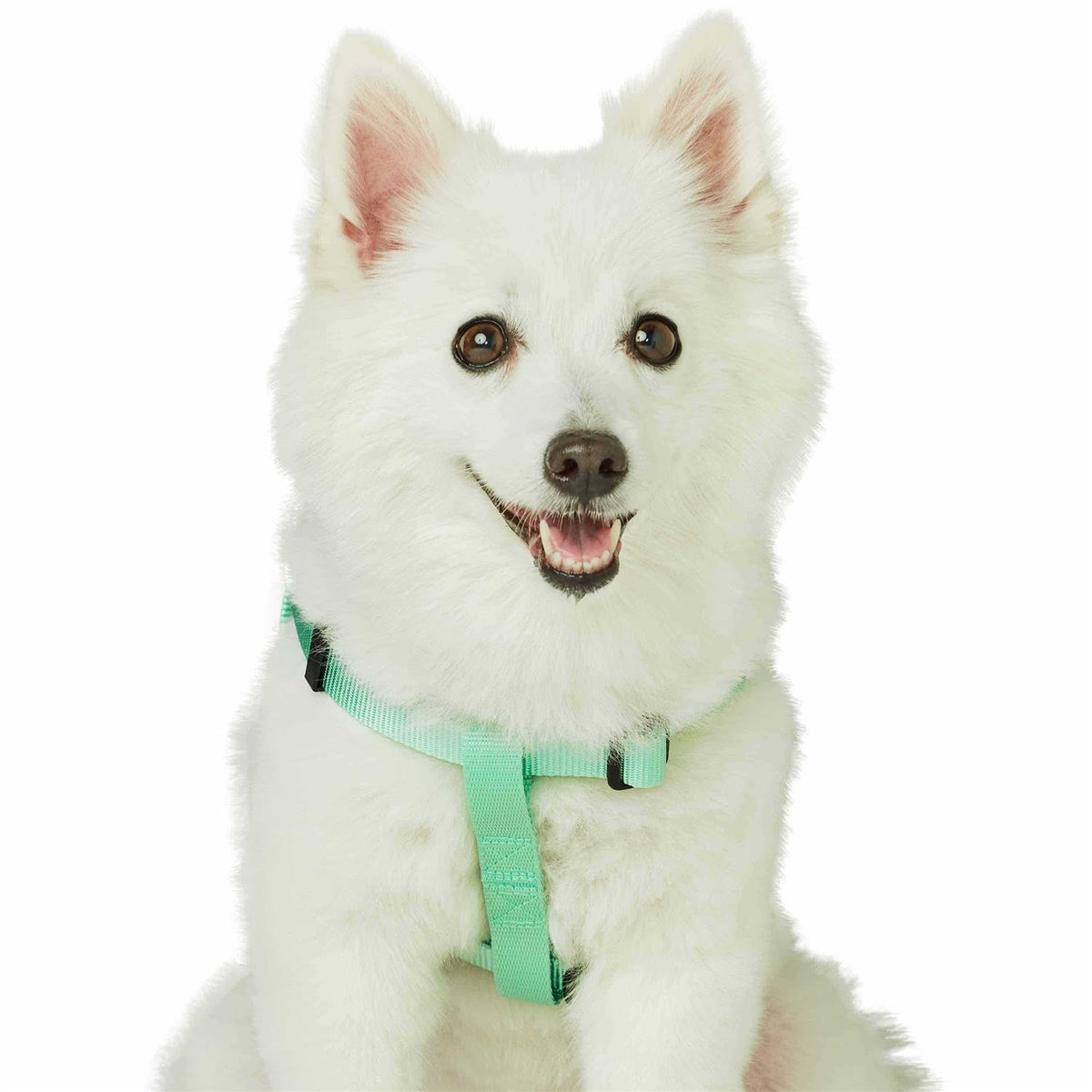 Classic Solid Nylon Step-In Dog Harness B412