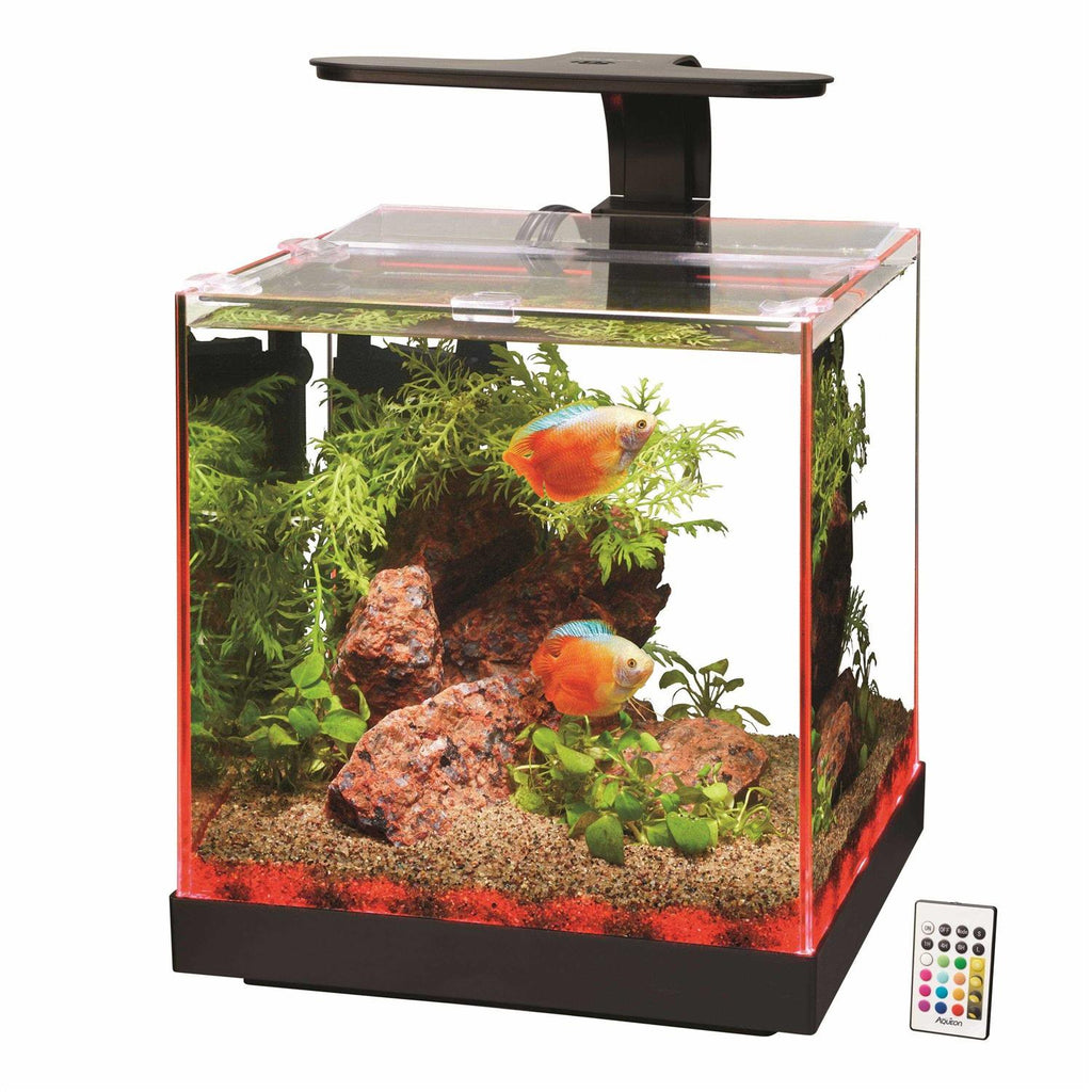 Aquarium O7857