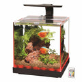 Aquarium O7857