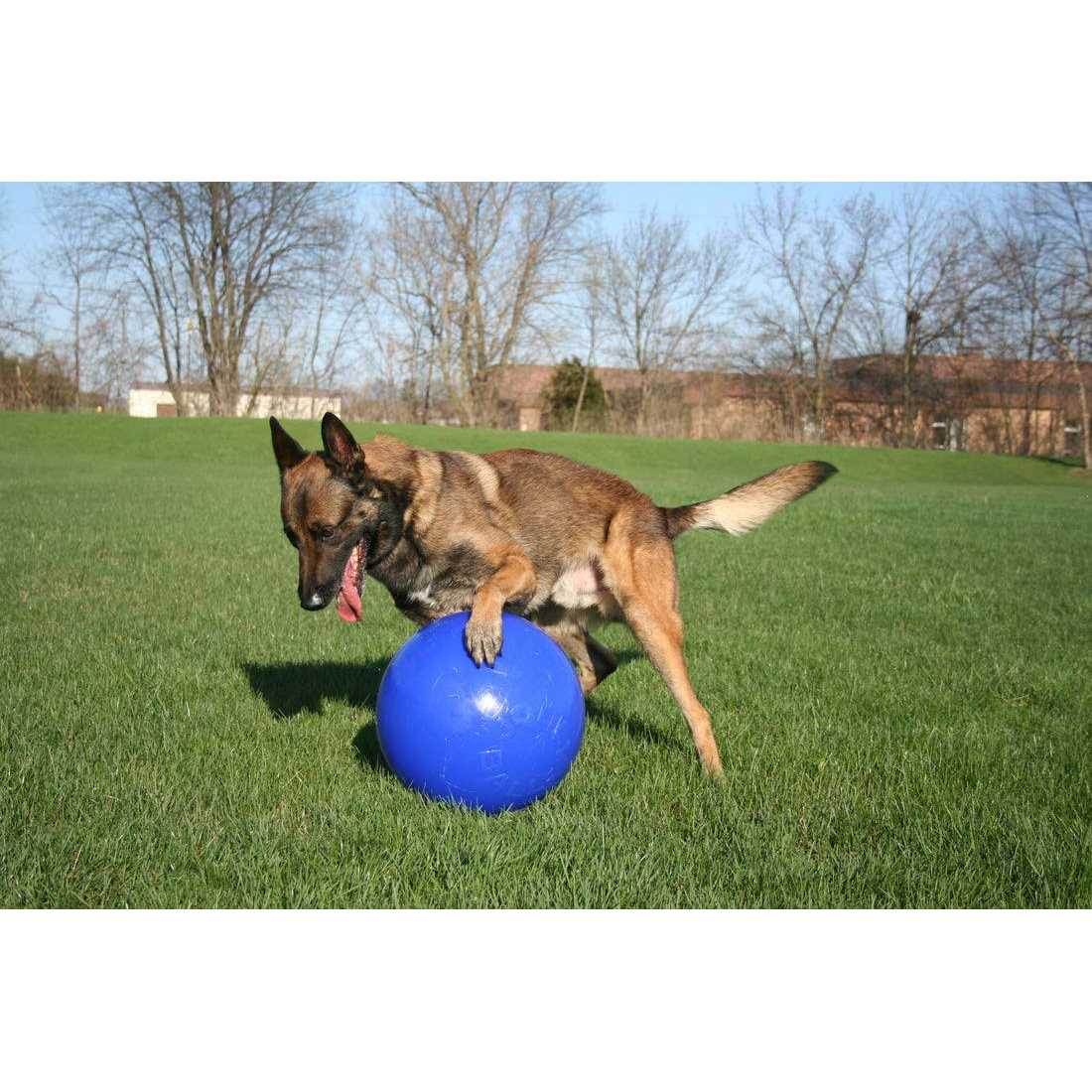 Push n Play Ball J35076