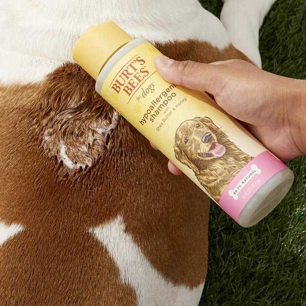 Shampoo Z615