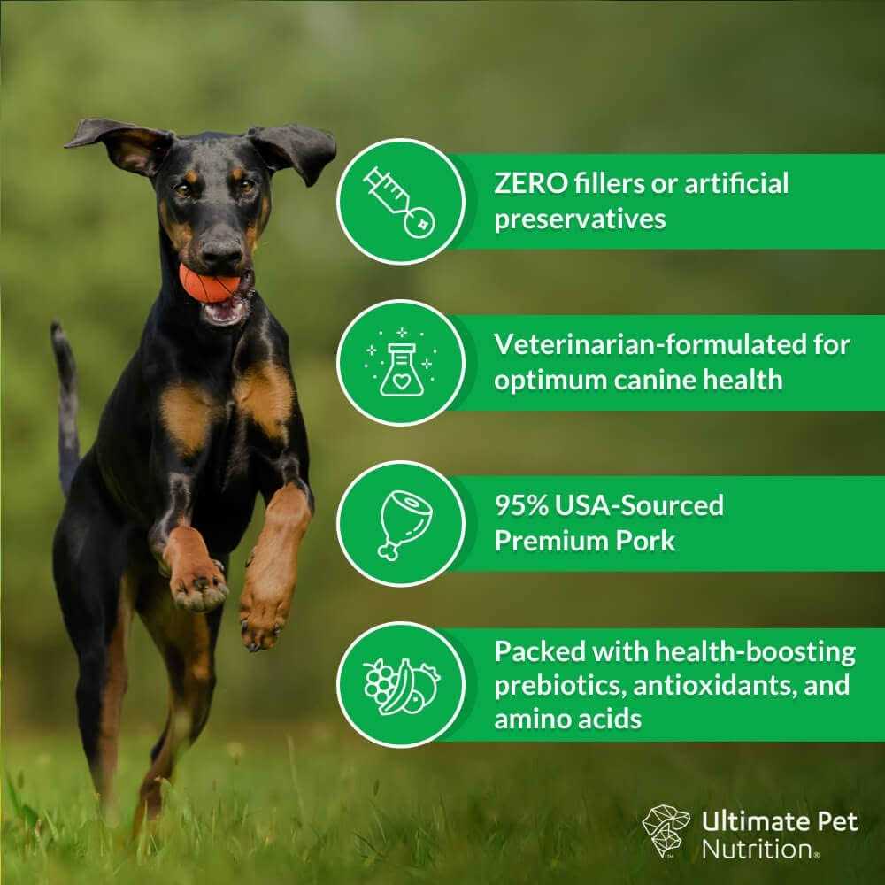 Freeze Dried Raw Pork Dog Food B487
