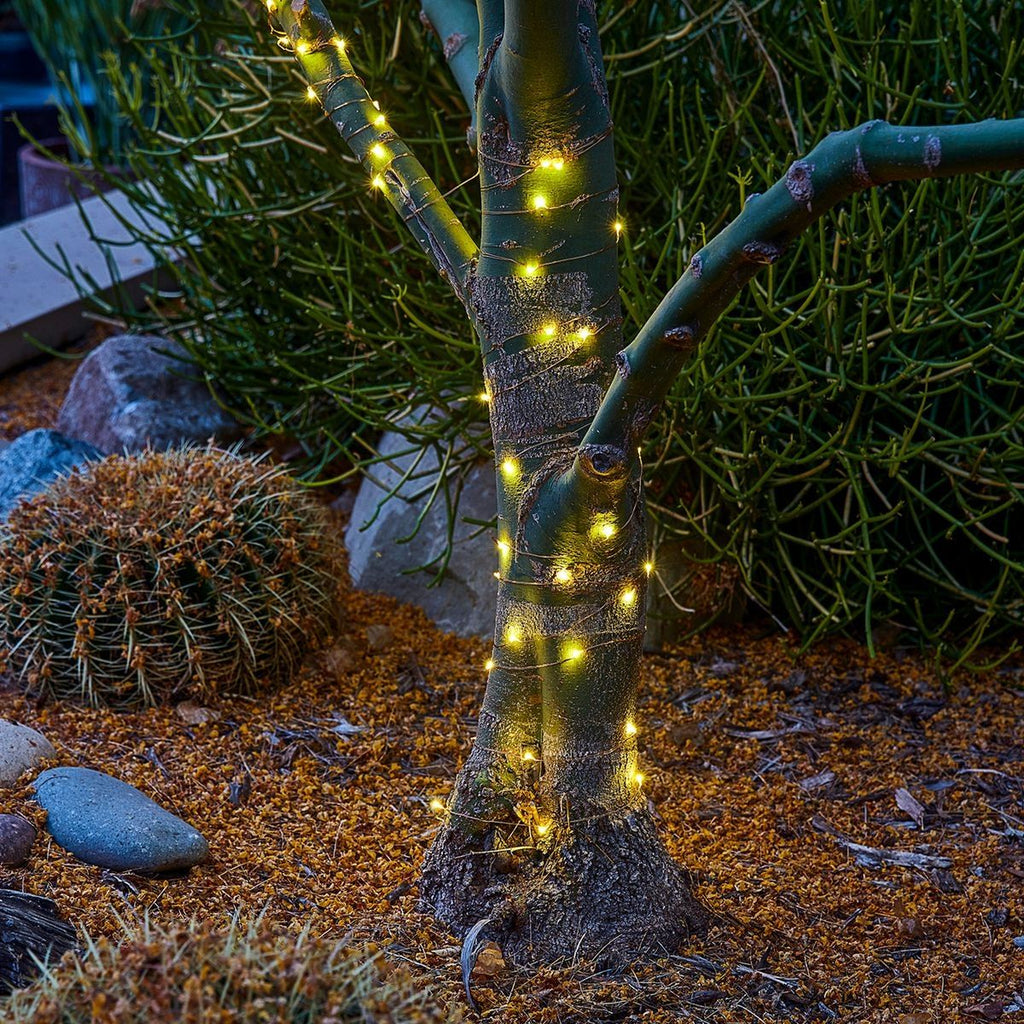 Warm White Copper Wire Lights with Remote W740099