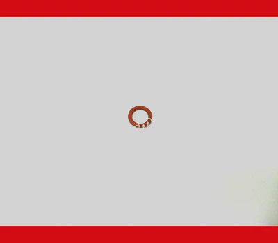 O-Ring (Red) N8768